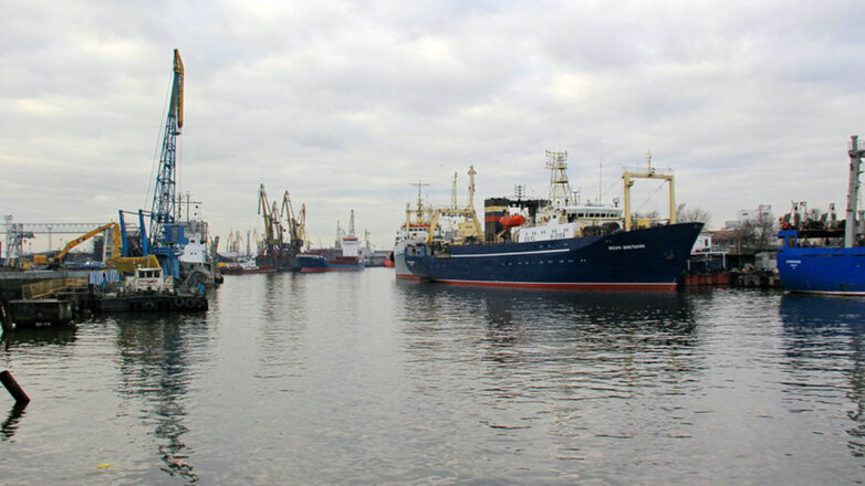 Калининградской области хватит судов для обхода запрета Литвы на транзит товаров