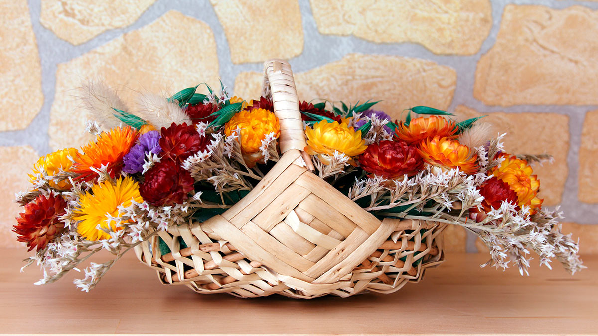 Сухие цветы