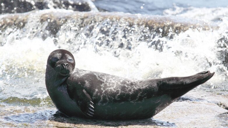 Ростерминалуголь организовал уникальную научную экспедицию