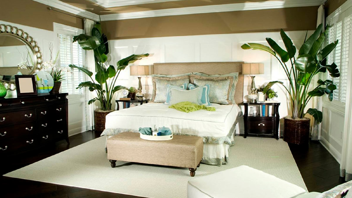 Добавить комнатные растения