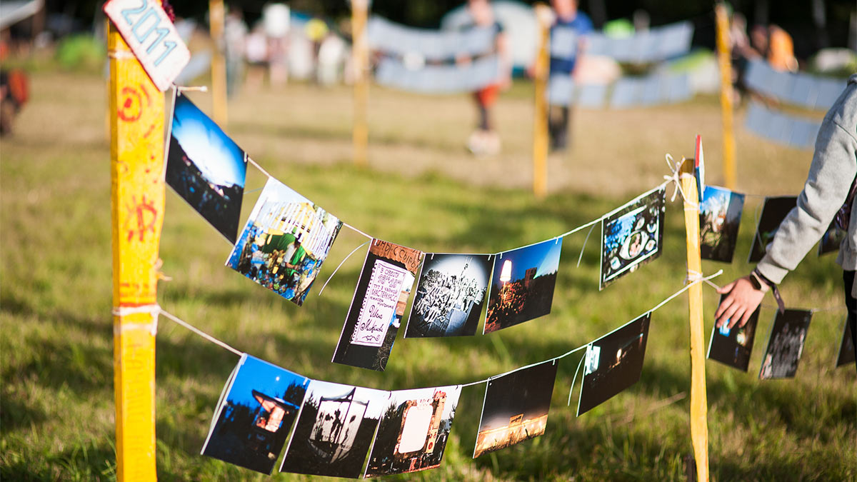 Фестиваль Бессонница