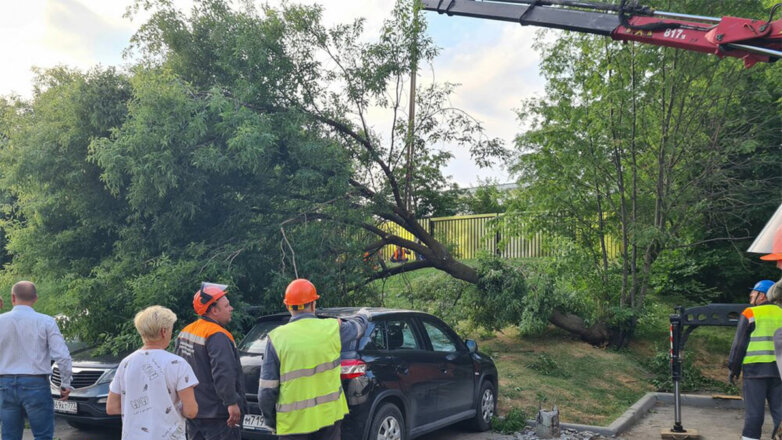 В Москве из-за непогоды закрыли парки
