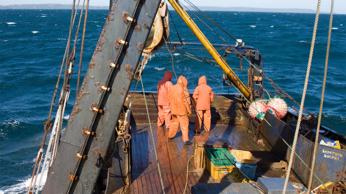 Рыболовецкий траулер в море