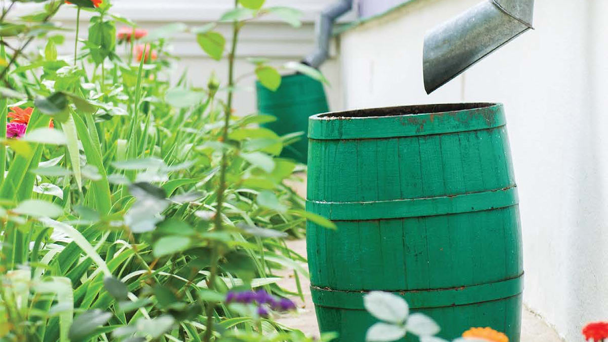 Садовые бочки для сбора воды