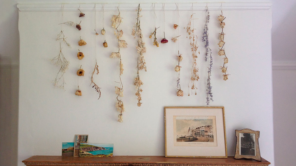 Украсить стены сухоцветами