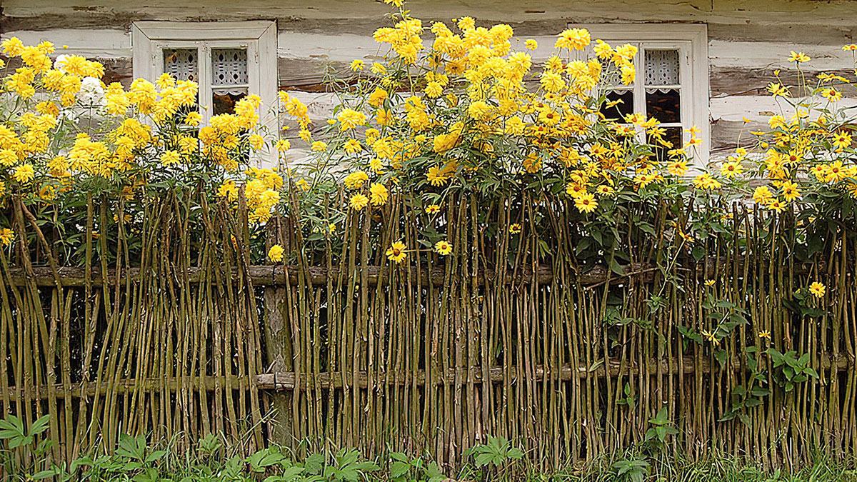 Идеи плетеного забора для дачи