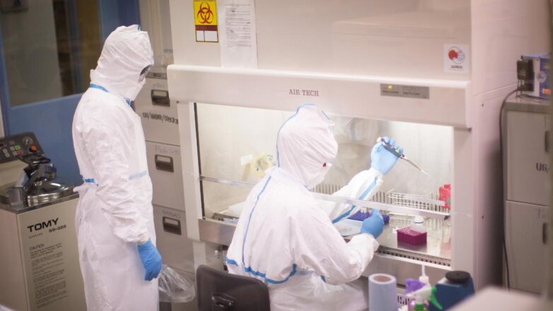 В России оценили вероятность завоза лихорадки Марбург