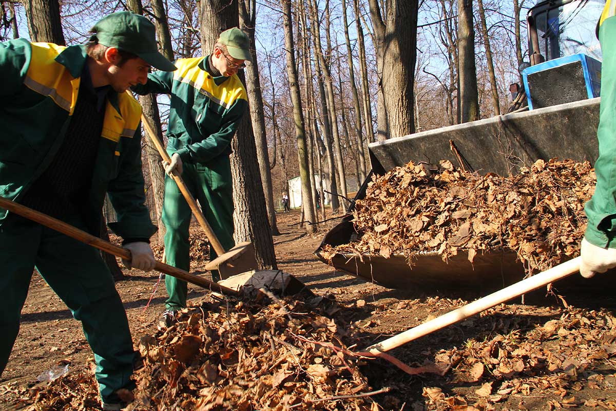 Уборка листвы