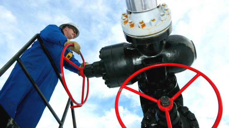 Президента Болгарии возмутило повышение правительством тарифов на транзит газа из РФ