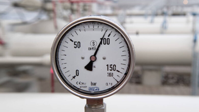 В Чехии заявили, что страна обеспечена газом на 11 месяцев