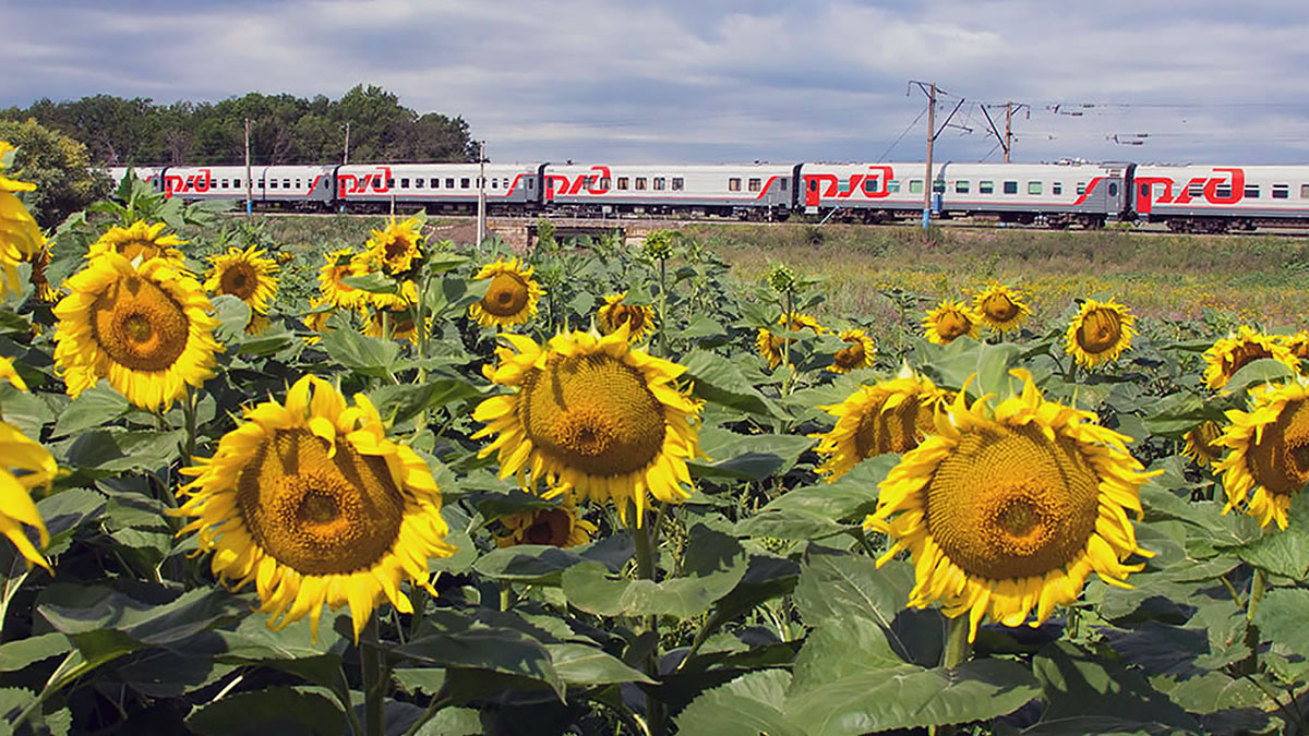 Туристические поезда РЖД