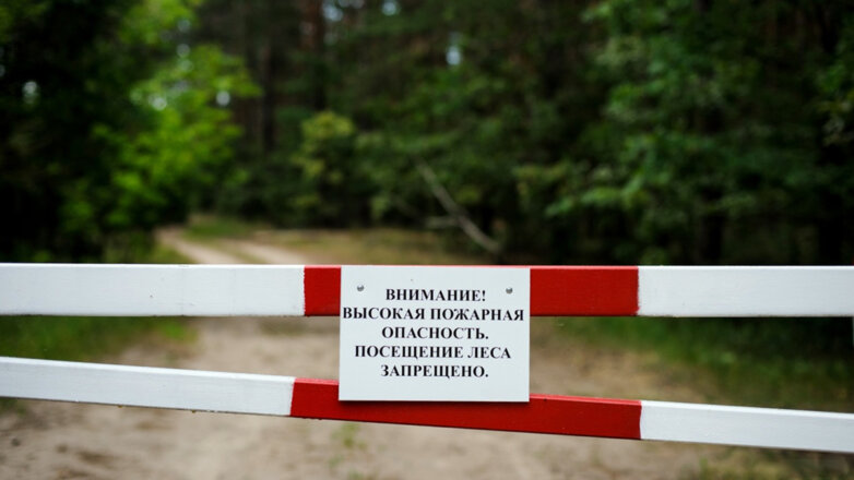 В Башкирии вводится ограничение на посещение лесов