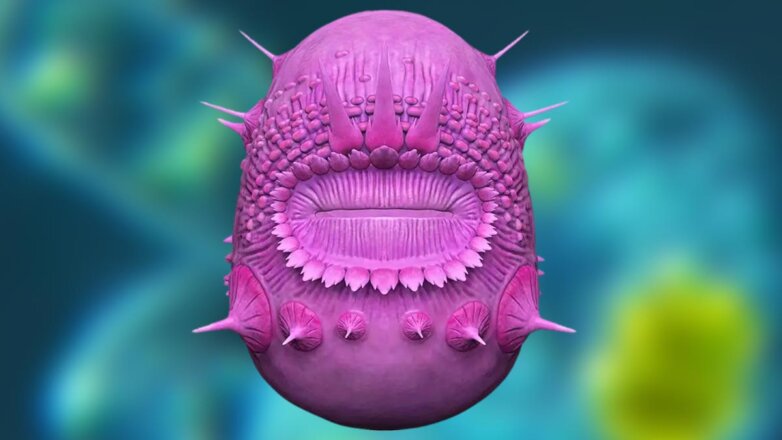 Ученые раскрыли загадку древнего существа с большим круглым ртом