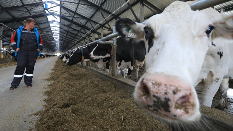 Справится ли российский агропром с долгосрочными вызовами