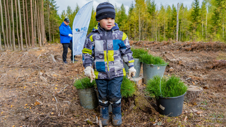 Волонтеры АО "Ростерминалуголь" приняли участие в экологической акции "Сохраним лес"