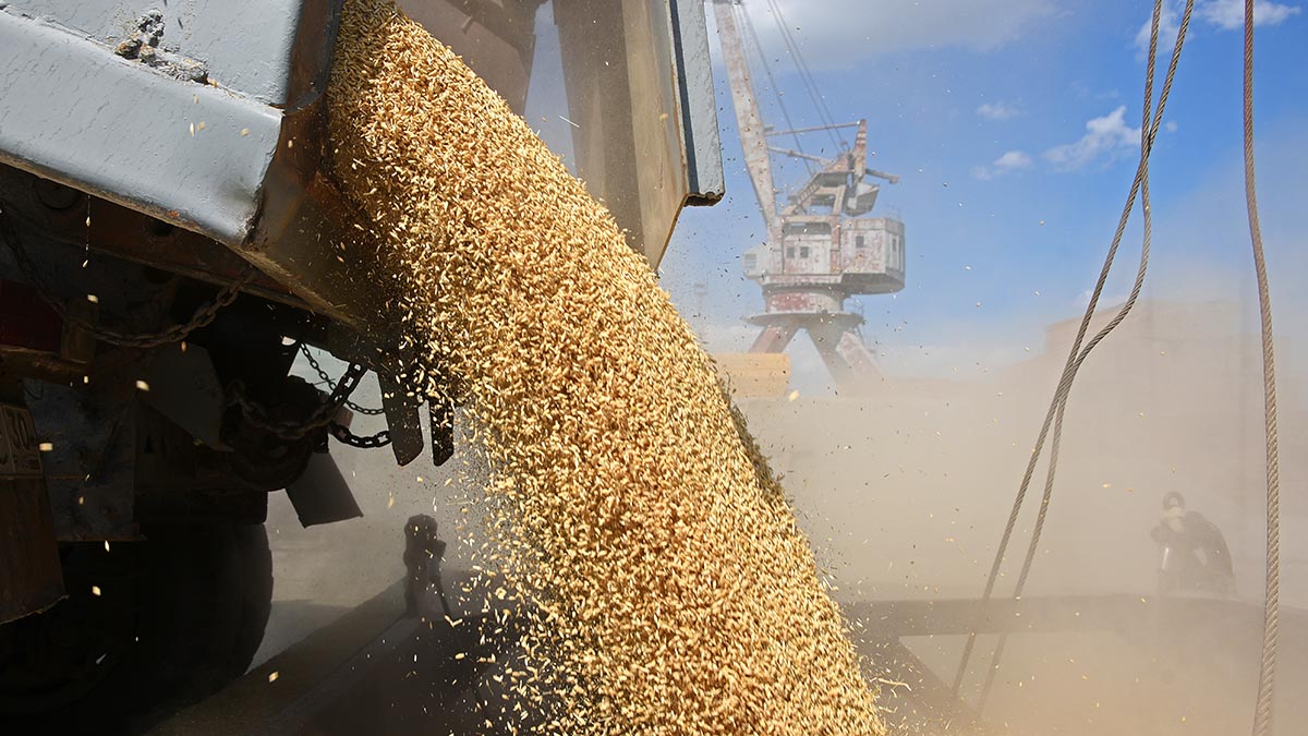 Погрузка российского зерна в порту Астрахани