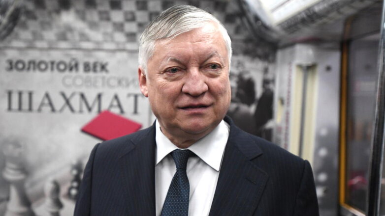 РИА Новости: шахматист Карпов попал в реанимацию с травмами