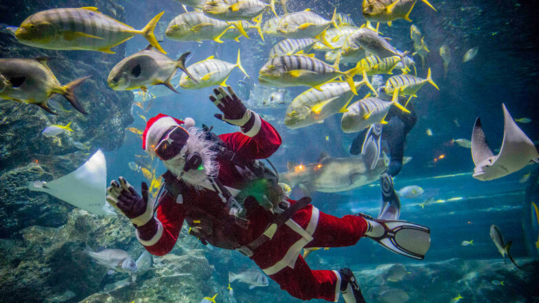 Улететь нельзя остаться: что российским туристам предлагают на Новый год