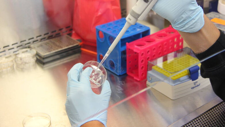 В России планируют начать выпуск лекарств от старения в течение 10 лет