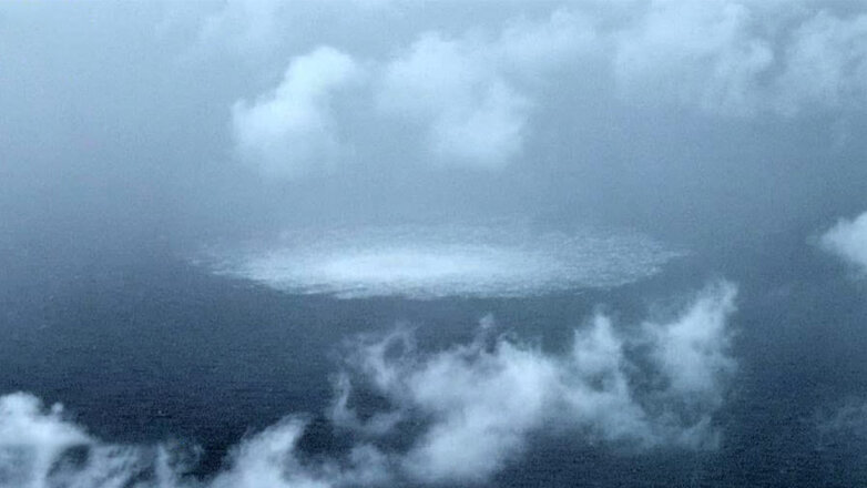 В ГД уверены, что настоящий виновный в диверсии на "Северном потоке" не будет объявлен