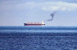 Судно с грузом пшеницы затонуло в Азовском море