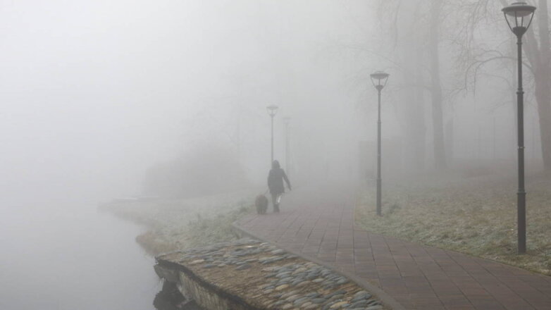 Жителей Москвы предупредили о сильном тумане