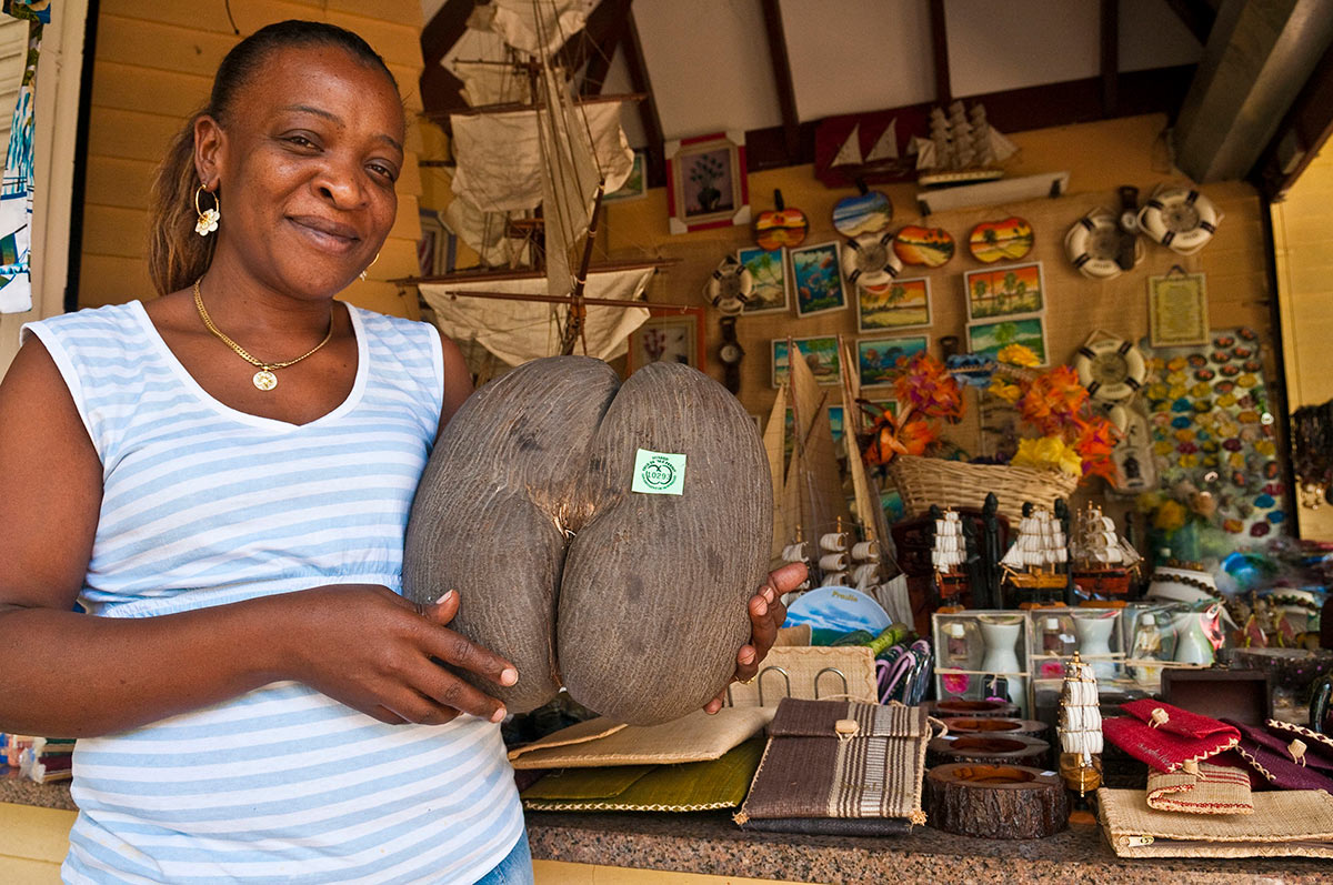 Символ Сейшельских островов – орех коко-де-мер