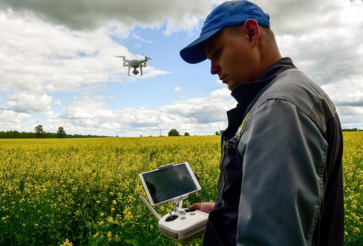 Специалист агротехнического предприятия управляет дроном