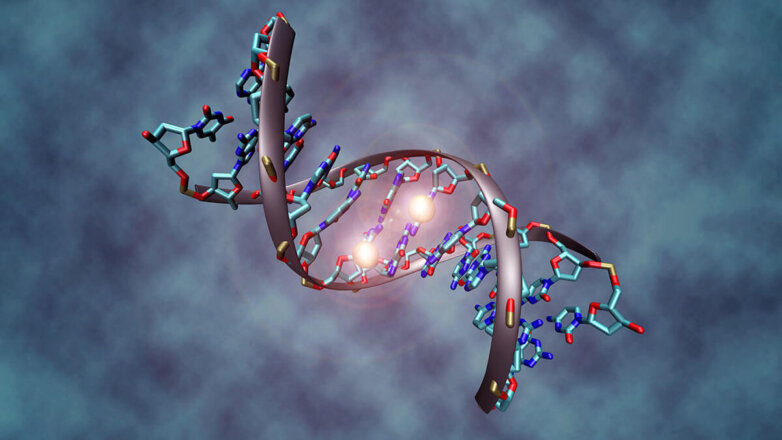 Древние геномы помогли узнать скрытую историю адаптации человека к миру