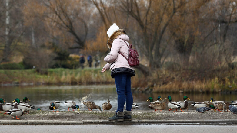 В Москве побит суточный температурный рекорд 45-летней давности
