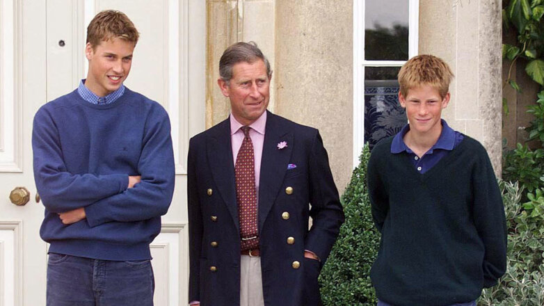 Эксперт пролила свет на то, каким отцом был Карл III для принцев Уильяма и Гарри