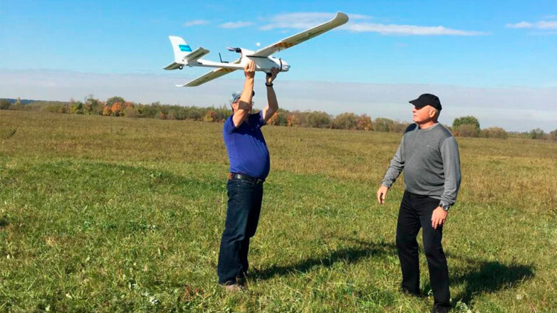 Здоровье хвойных деревьев в России будут контролировать беспилотники