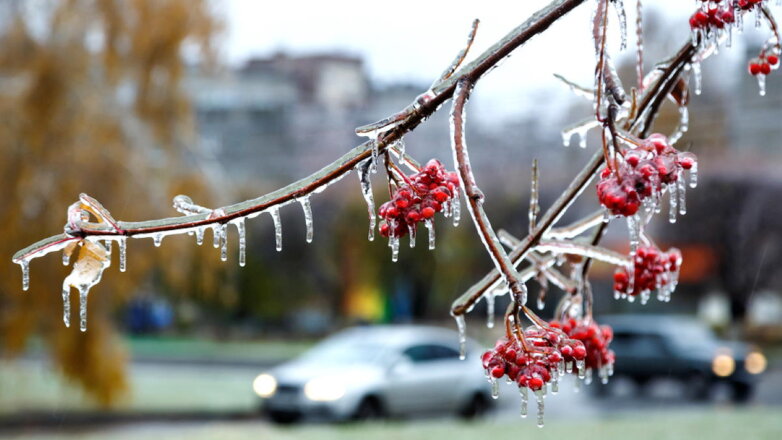 В Москве 22 ноября стало самым влажным с 1965 года
