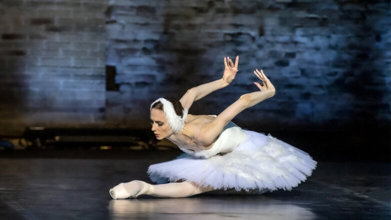В Москве пройдет премьера обновленной постановки "Па-де-де на пальцах и для пальцев"