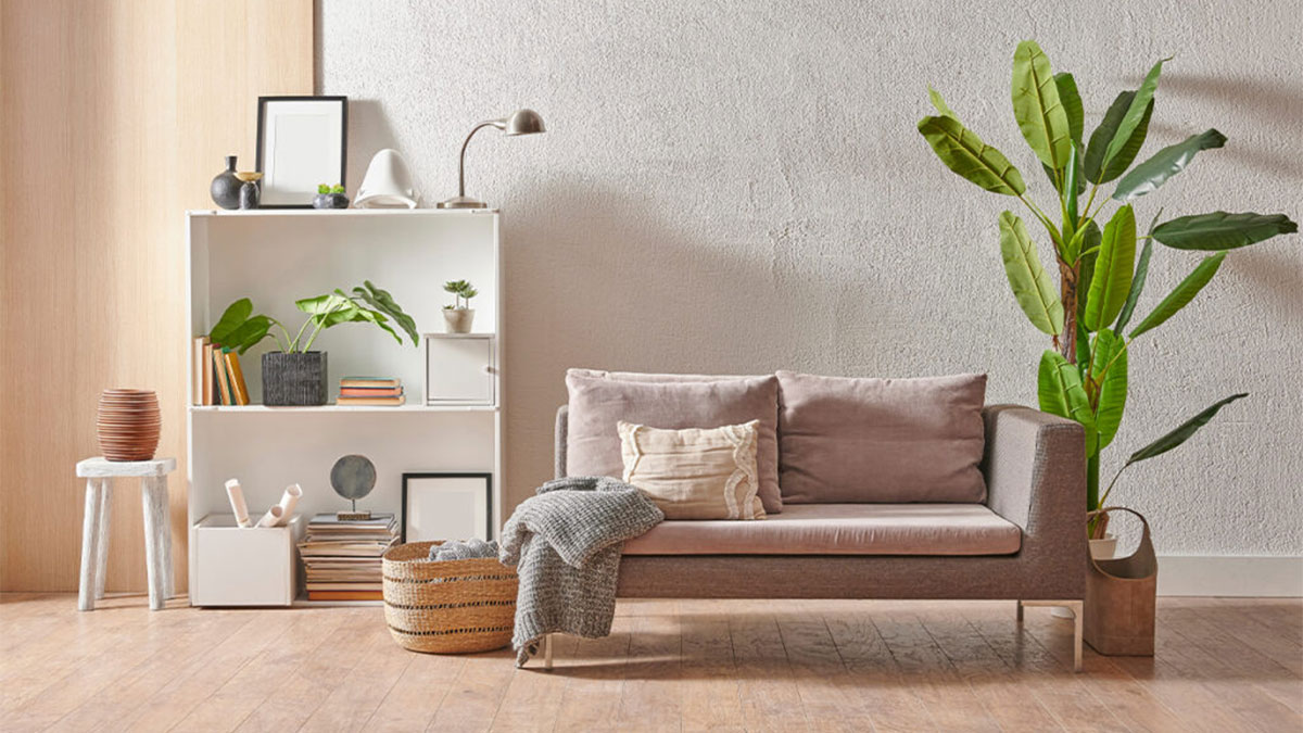 Комнатные растения за диваном