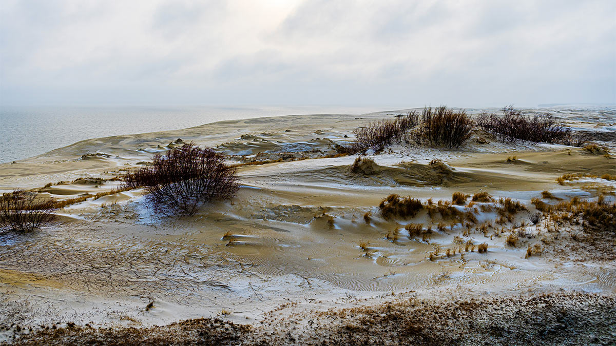 Куршская коса в Калининграде