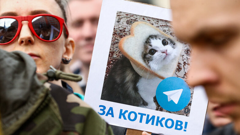 Кто сказал мяу: как котикам с помощью японцев удалось захватить интернет