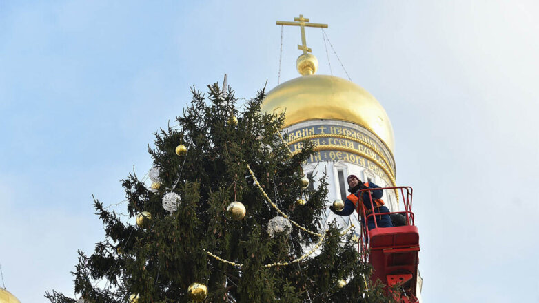 Соборную площадь Кремля украсит 95-летняя ель из Подмосковья