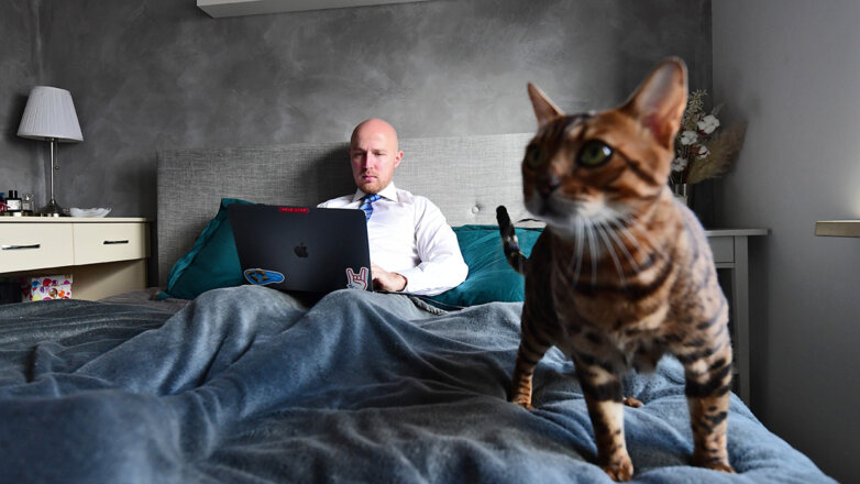 Нездоровый образ жизни: в России все реже задумываются о спорте и правильном питании