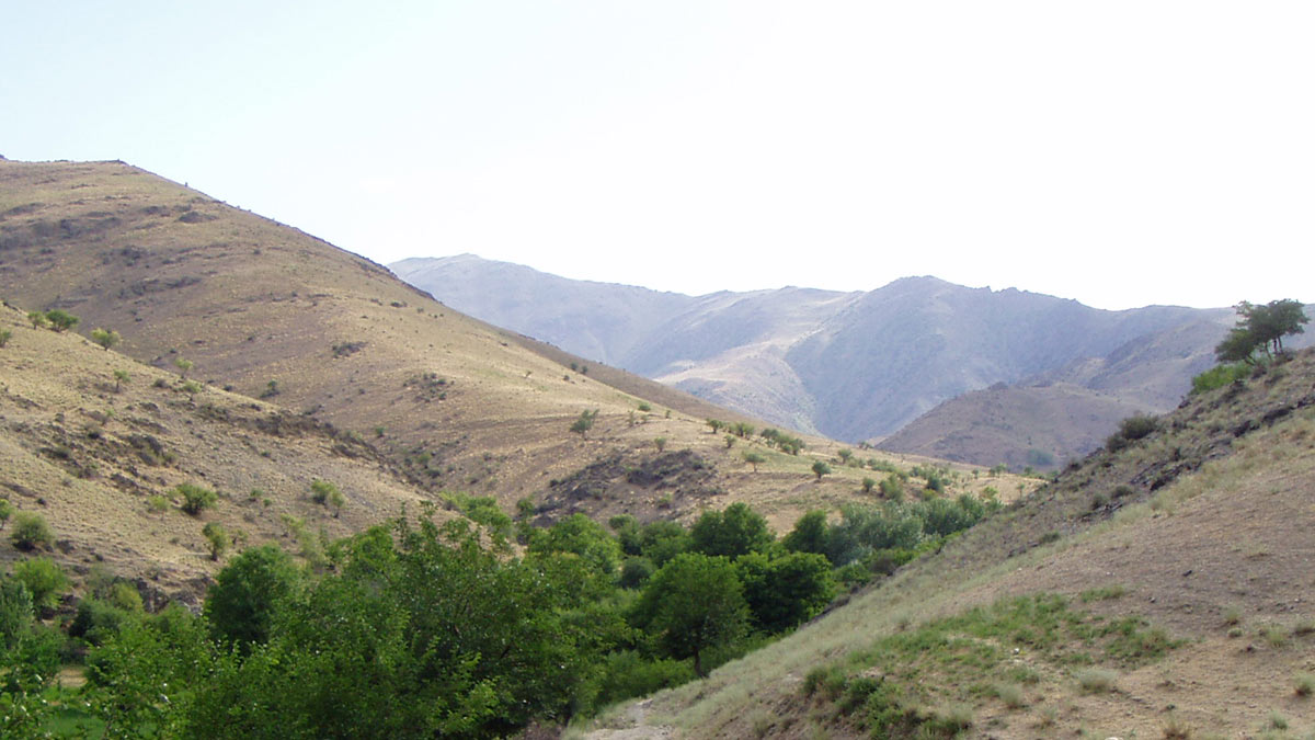 Джизакская область