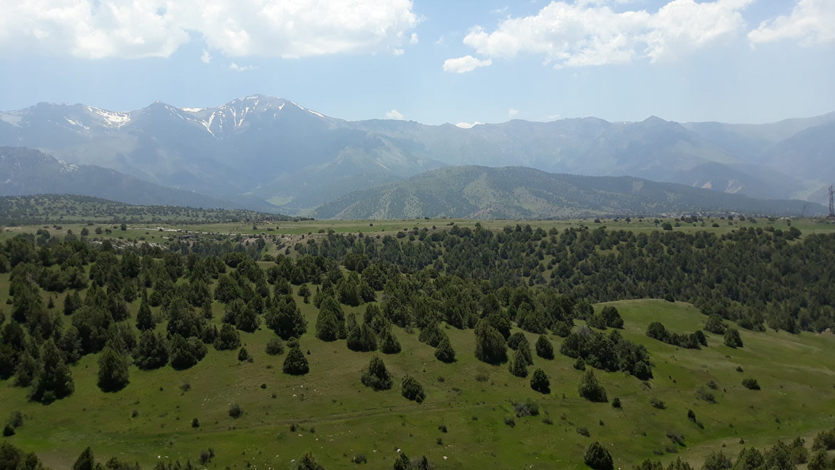 Зааминский национальный природный парк