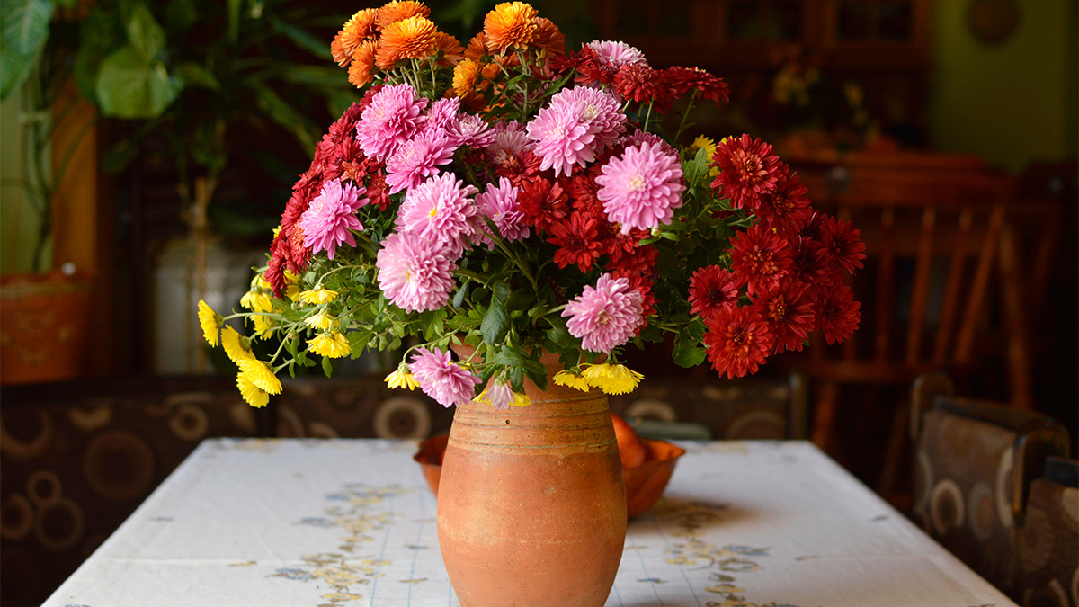 Хризантемы