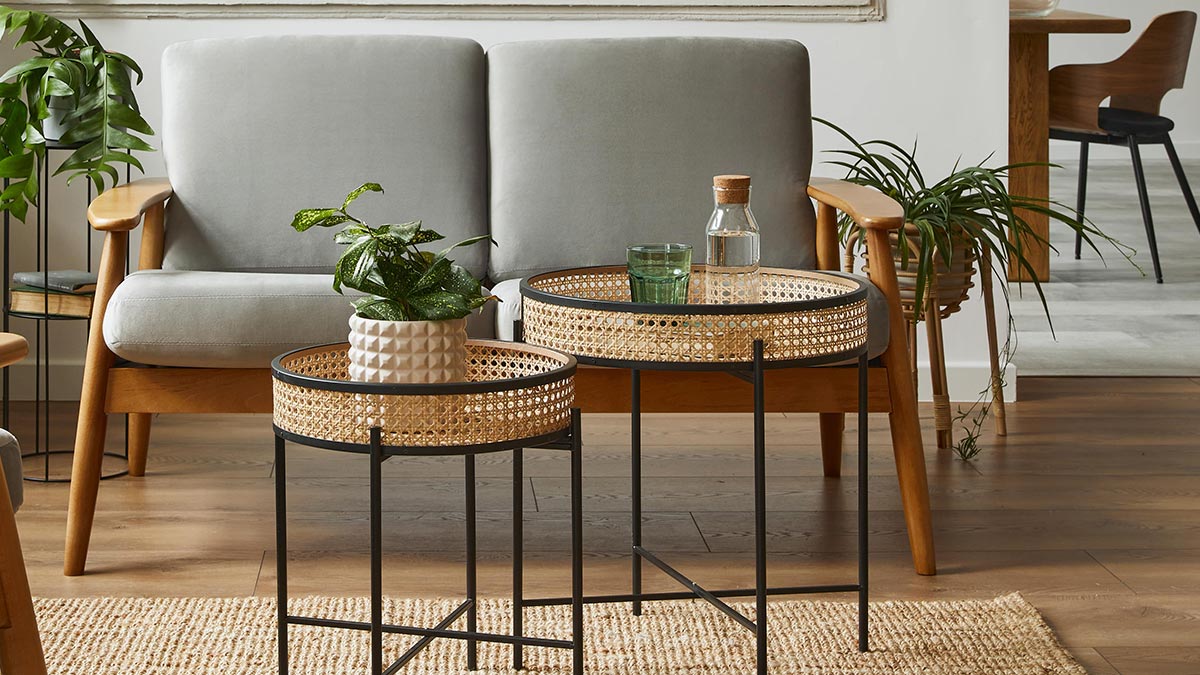 Домашние растения