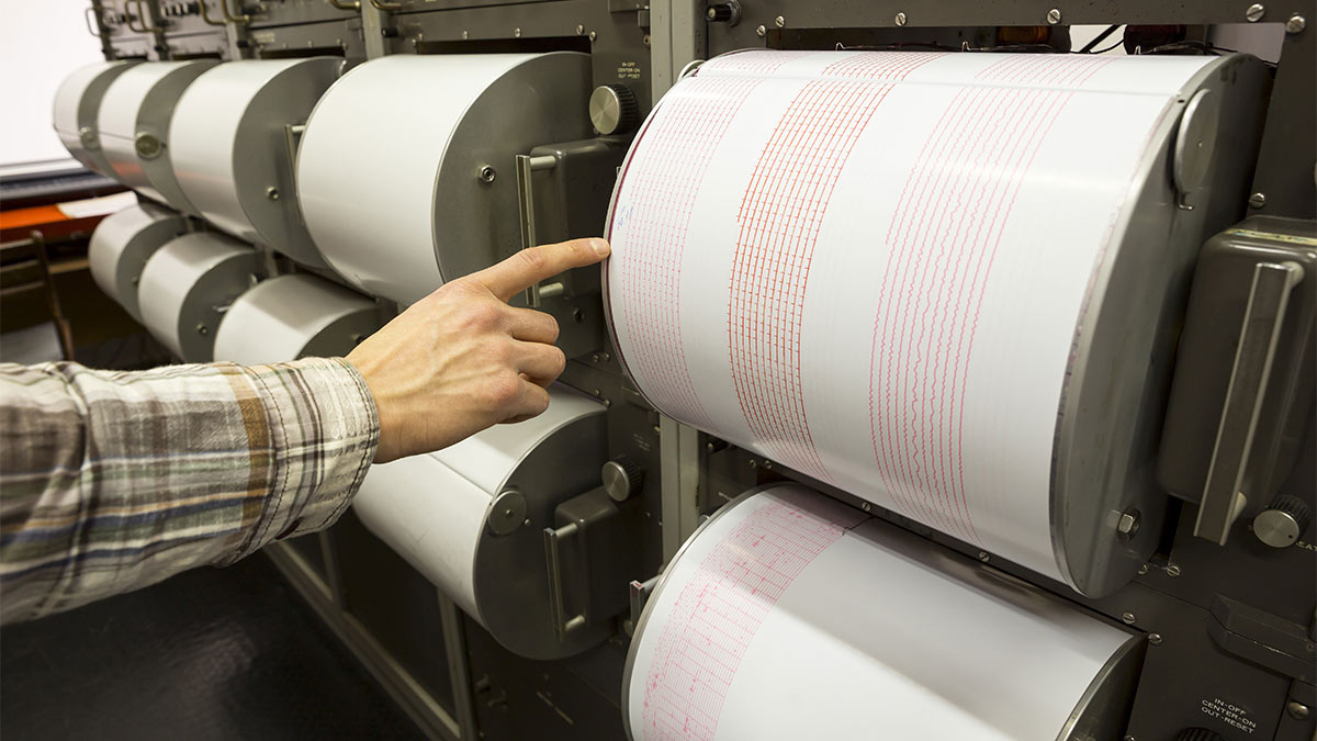 Shutterstock/Fotodom