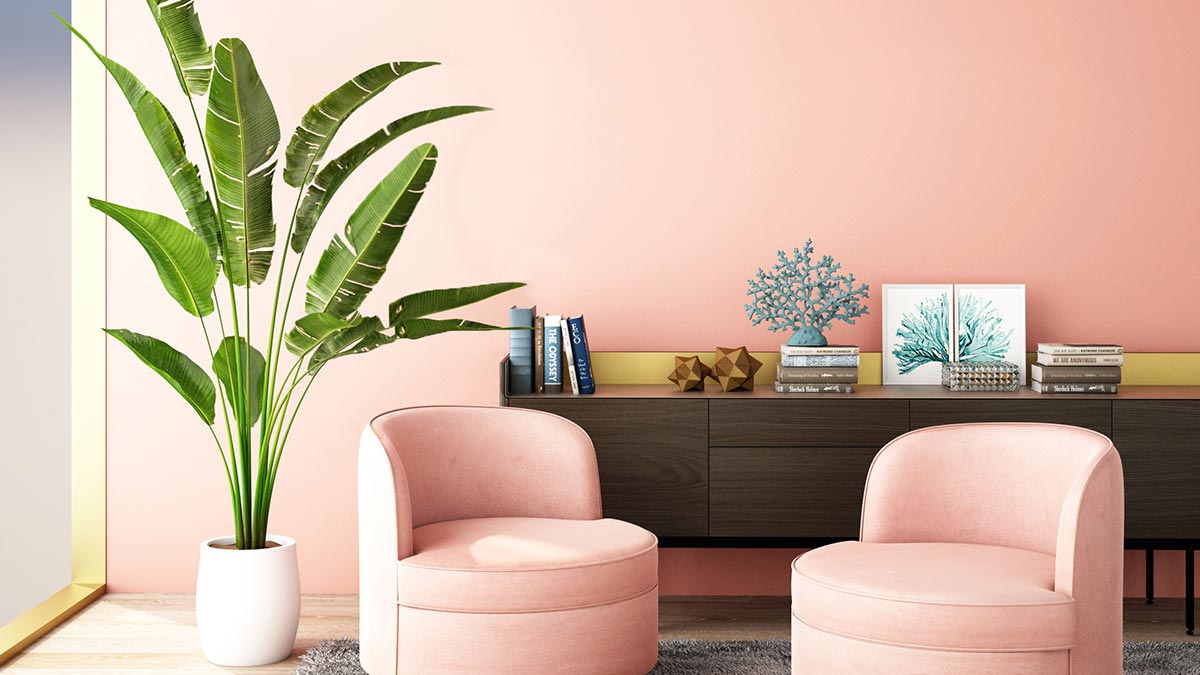 Домашние растения