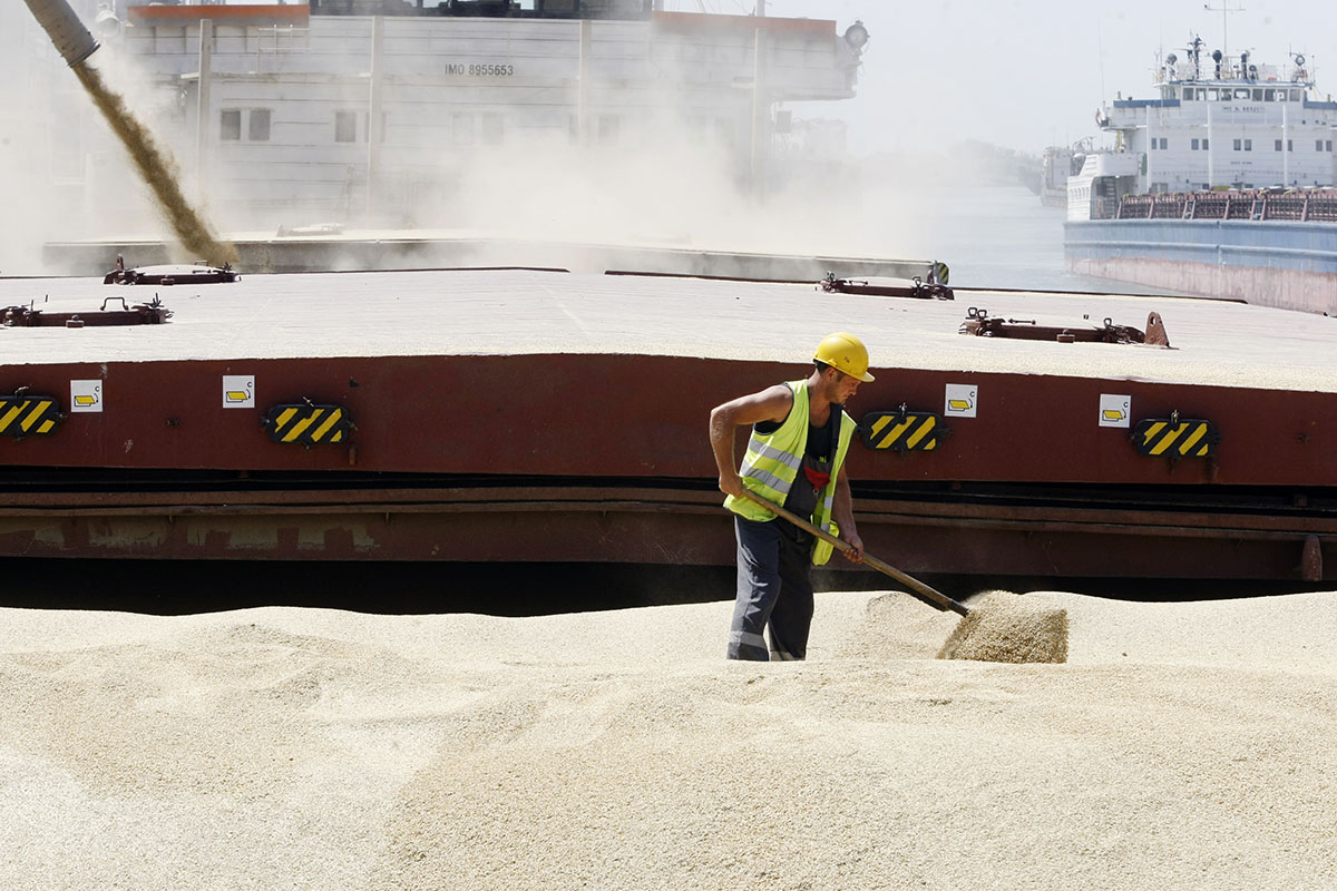 Отгрузка зерна на экспорт в Ростове-на-Дону