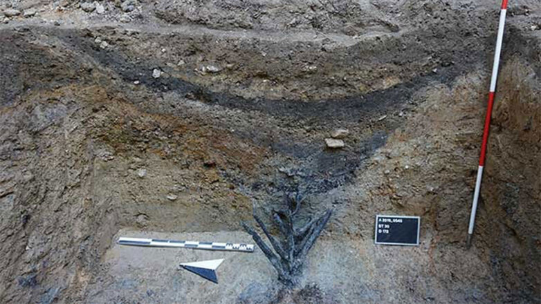 Немецкие ученые обнаружили древнеримский аналог колючей проволоки, описанный Юлием Цезарем