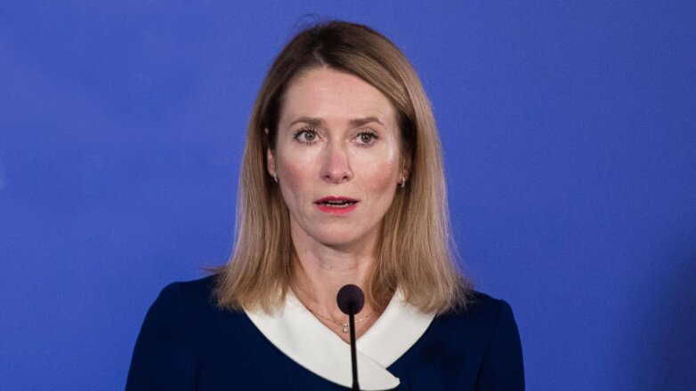 Премьер Эстонии призвала конфисковать замороженные российские активы до выборов в США