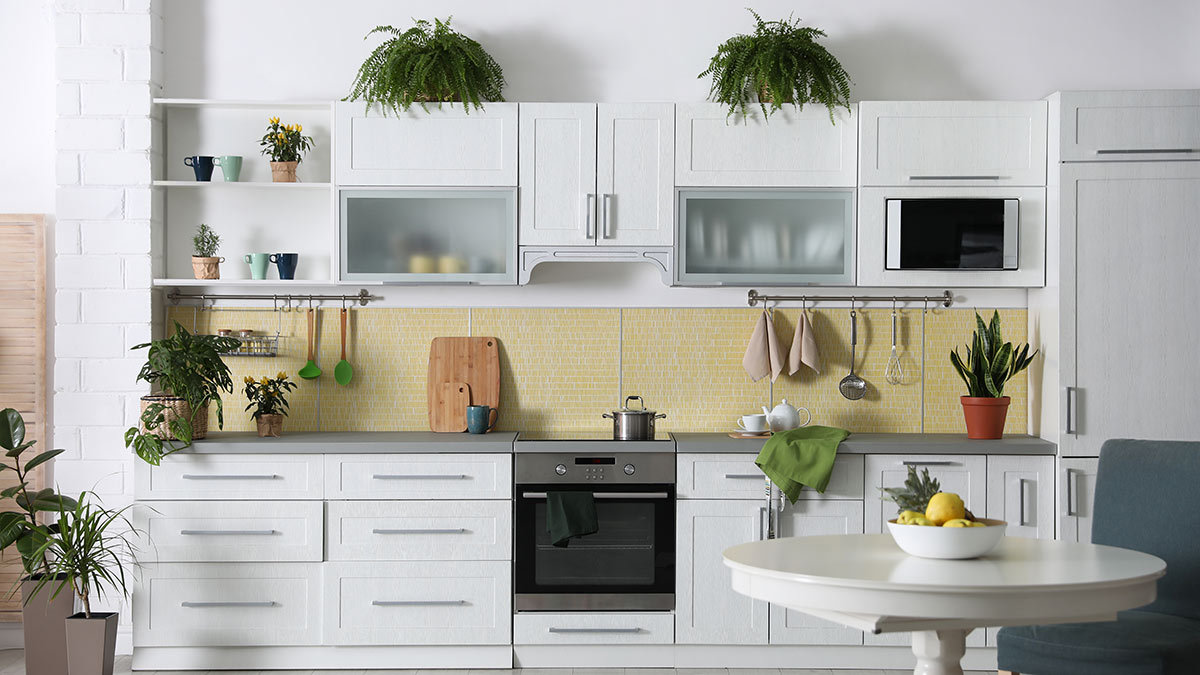 Растения в интерьере