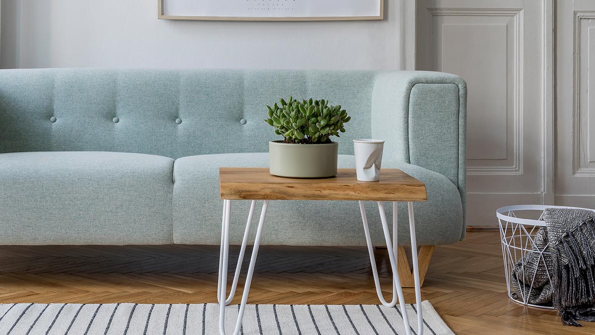 Растения в интерьере